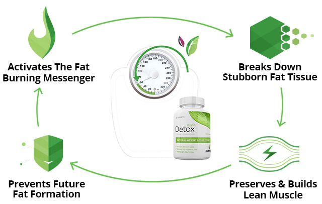 detox_howitworks